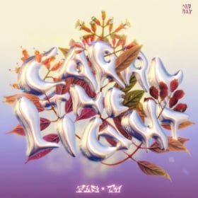 PLS&TY, NU-LA - CARRY THE LIGHT